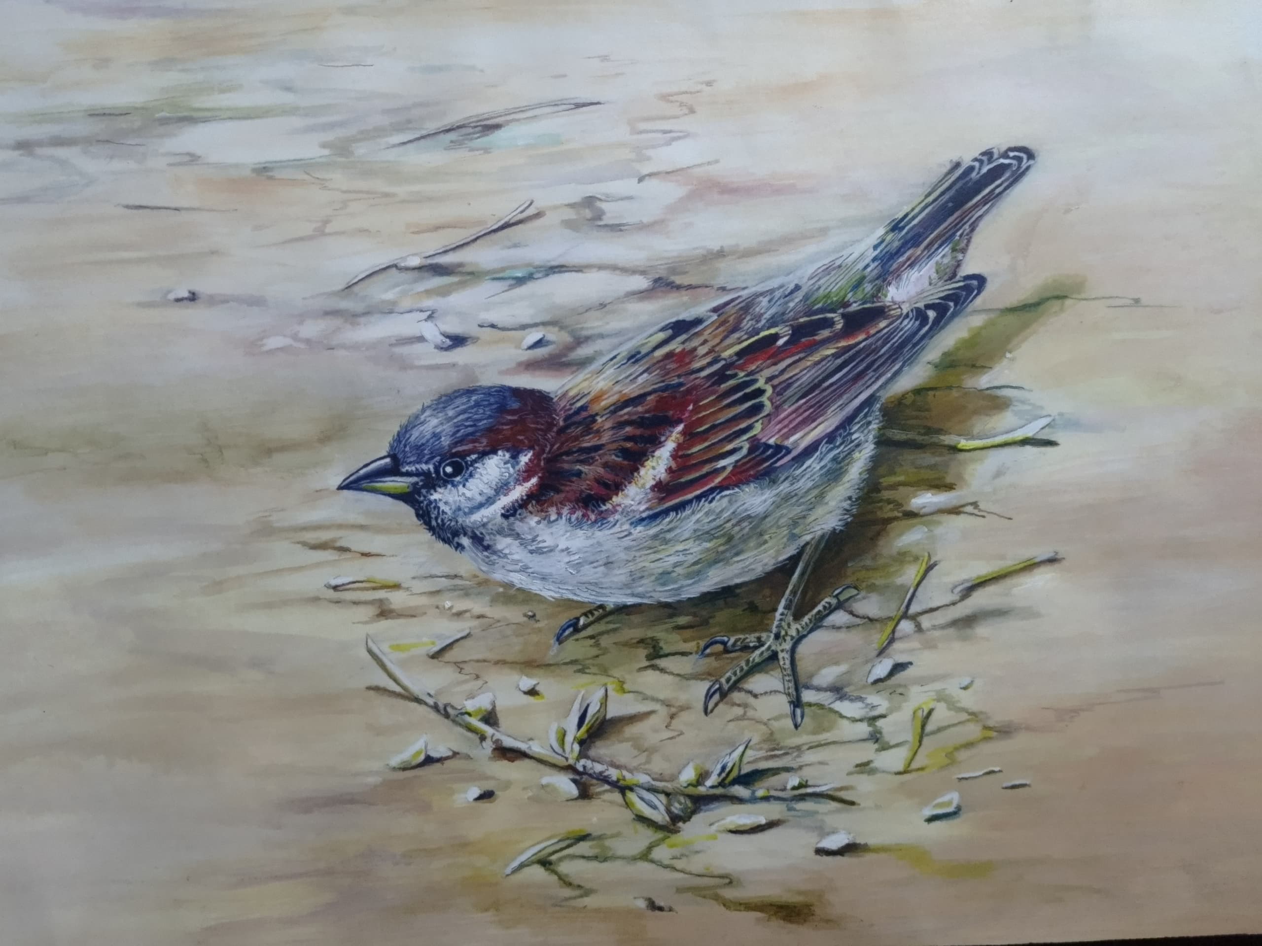 Moineau, la vie d’abord